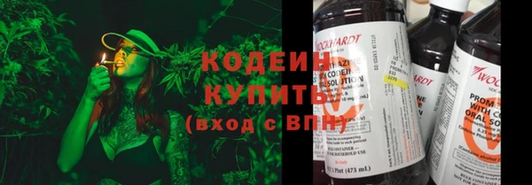 прущие крисы Балахна
