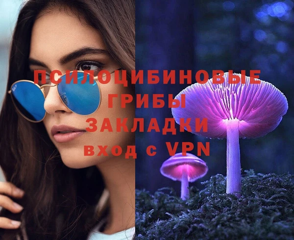 прущие крисы Балахна