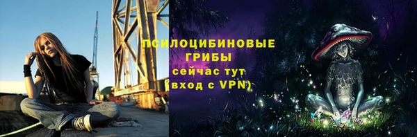 прущие крисы Балахна