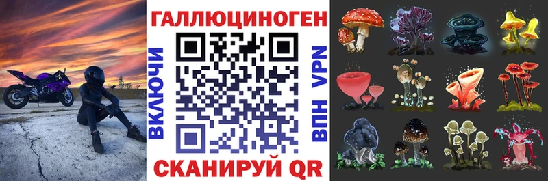 даркнет сайт  сайты даркнета официальный сайт  Псилоцибиновые грибы мухоморы  Бугульма  OMG ССЫЛКА 